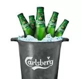 Carlsberg 5li Kova